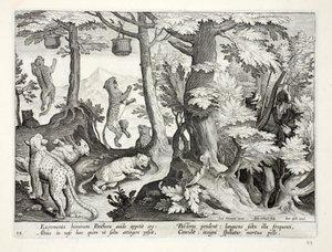 Les panthères gourmandes mangent des excréments humains suspendus aux arbres par les bergers et meurent, illustration de 